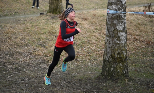 vlv crosslauf 2018 (27)